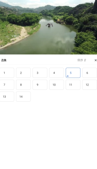 龙瞄影评