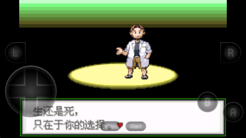 口袋妖怪生与死截图4