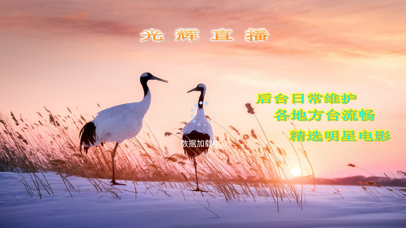 光辉直播截图5