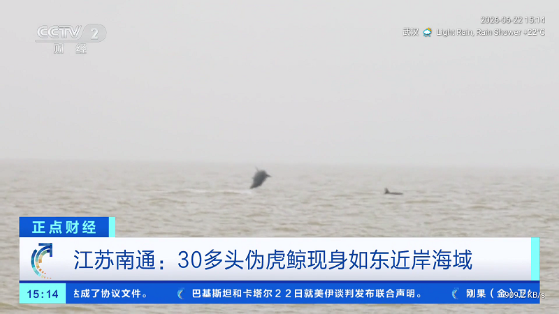 摸鱼TV截图1