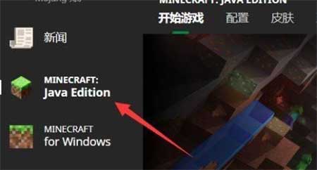 skinseed官方中文版