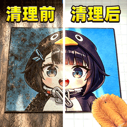 地毯清洁