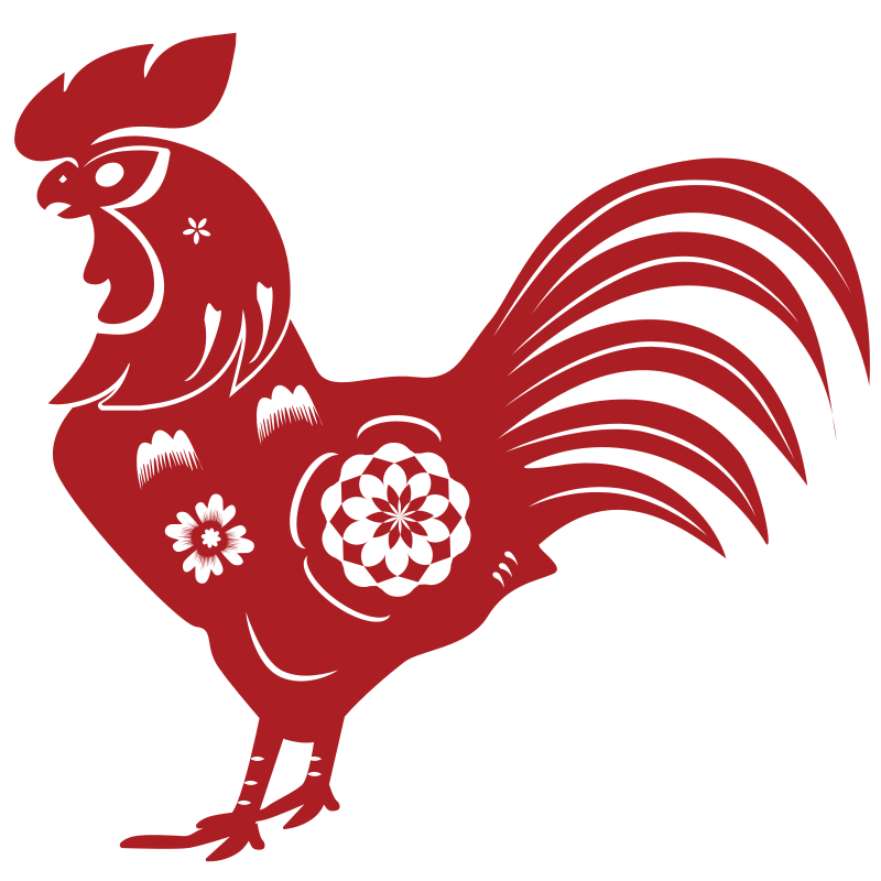 大公鸡直播