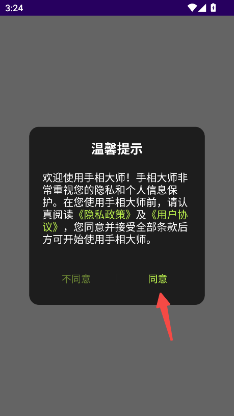 手相大师
