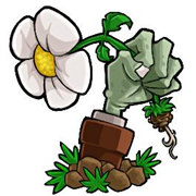 植物大战僵尸住宅保卫战版