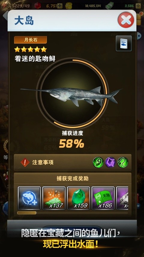 钓鱼发烧友安卓版截图3