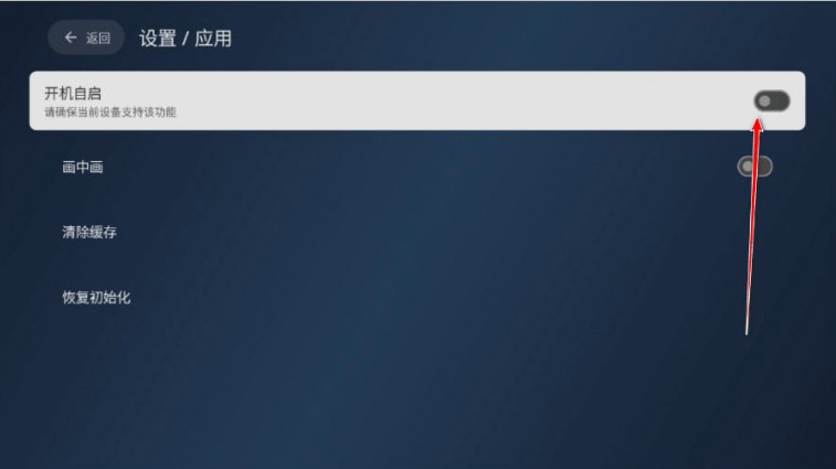 小飞电视tv版