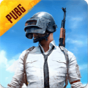 pubg国际服体验服2026