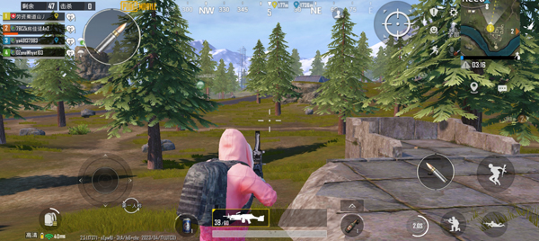pubg国际服
