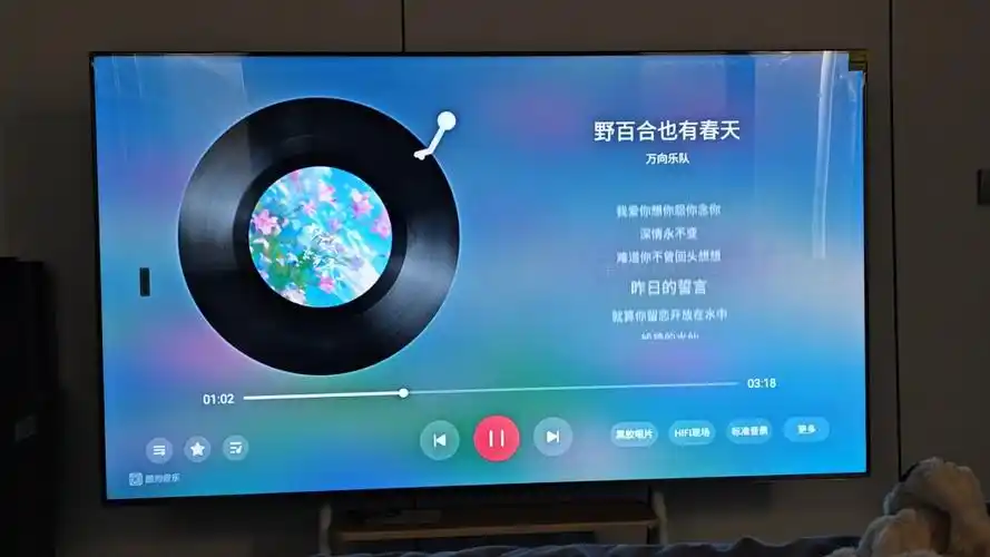 电视音乐