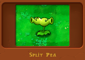 pvz国际版