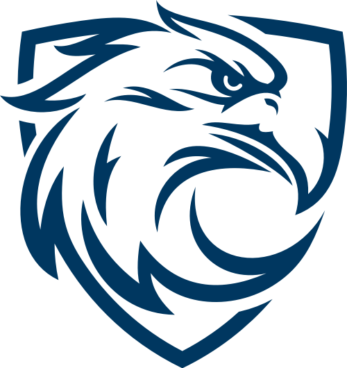 蓝鹰视界