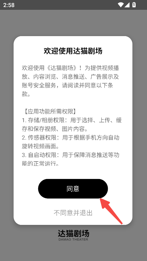 达猫剧场