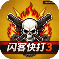 闪客快打3中文版